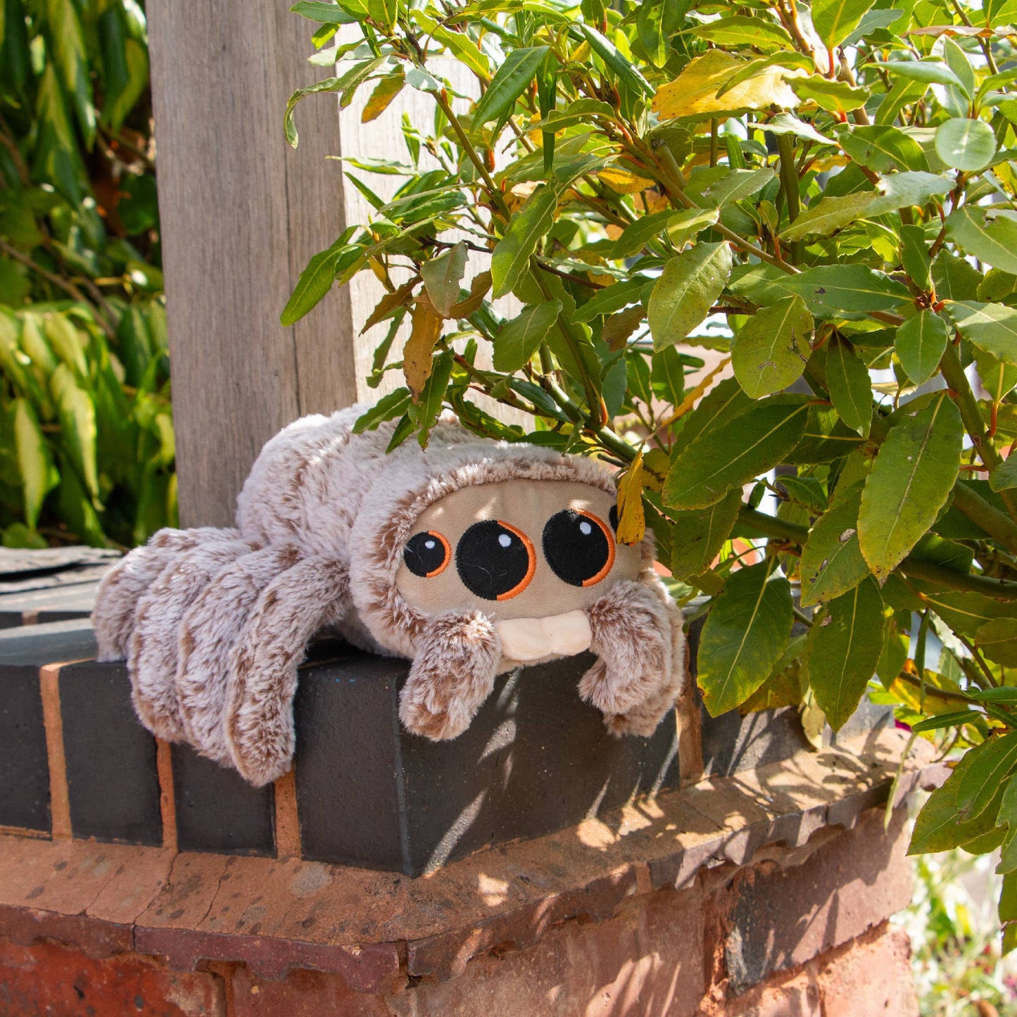 Soft Sid The Spider