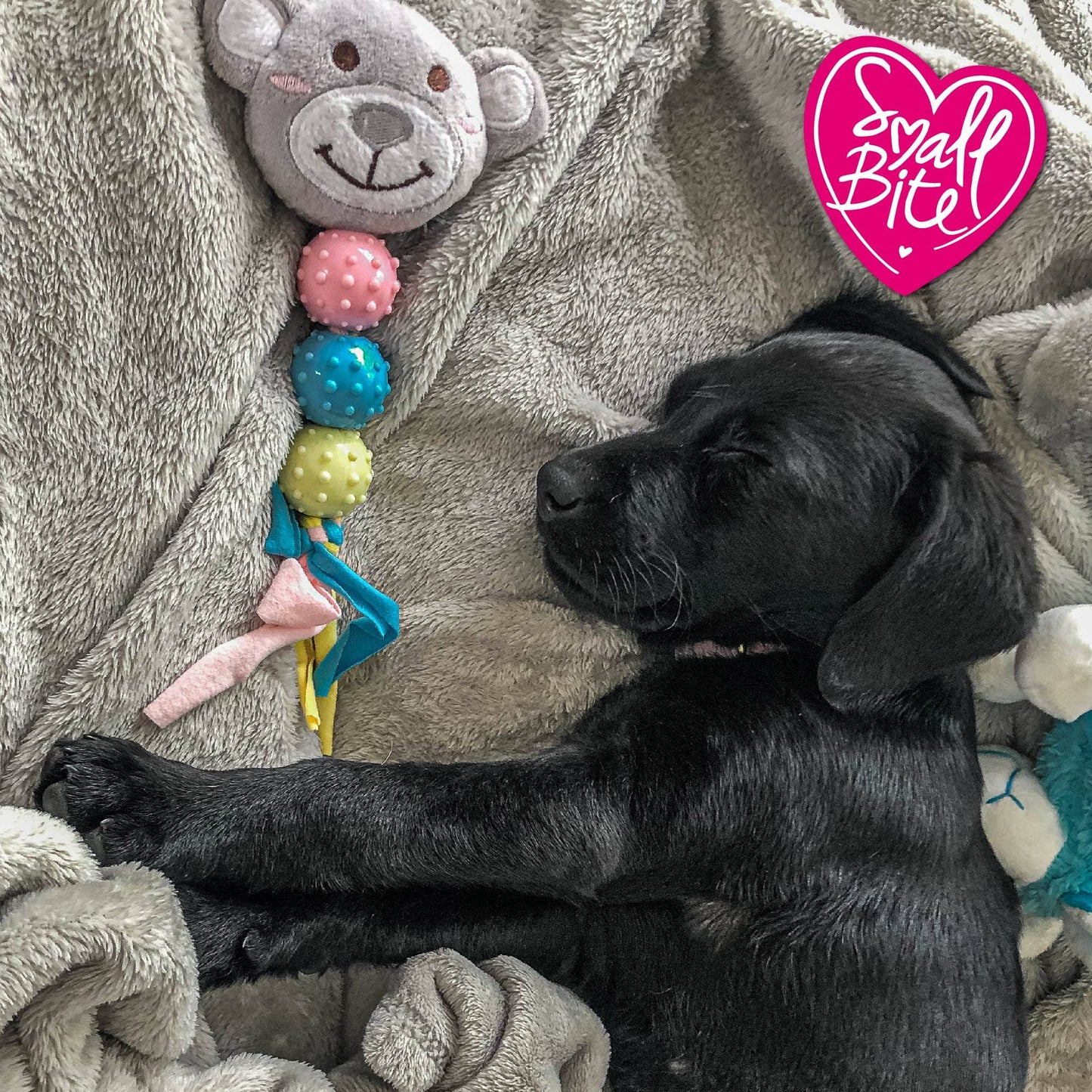 Small Bite Puppy Teether Bear/Bunny/Heart