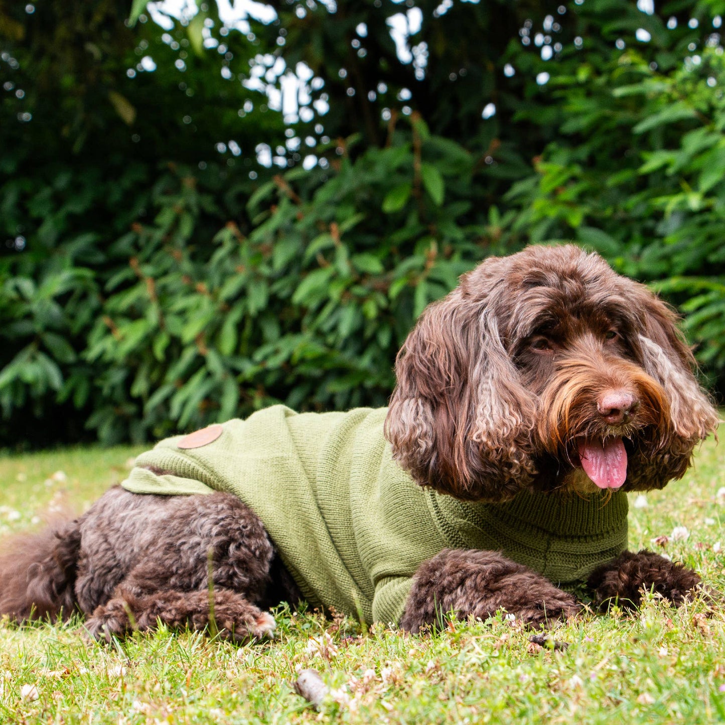 Snug Cable Knit Jumper GREEN