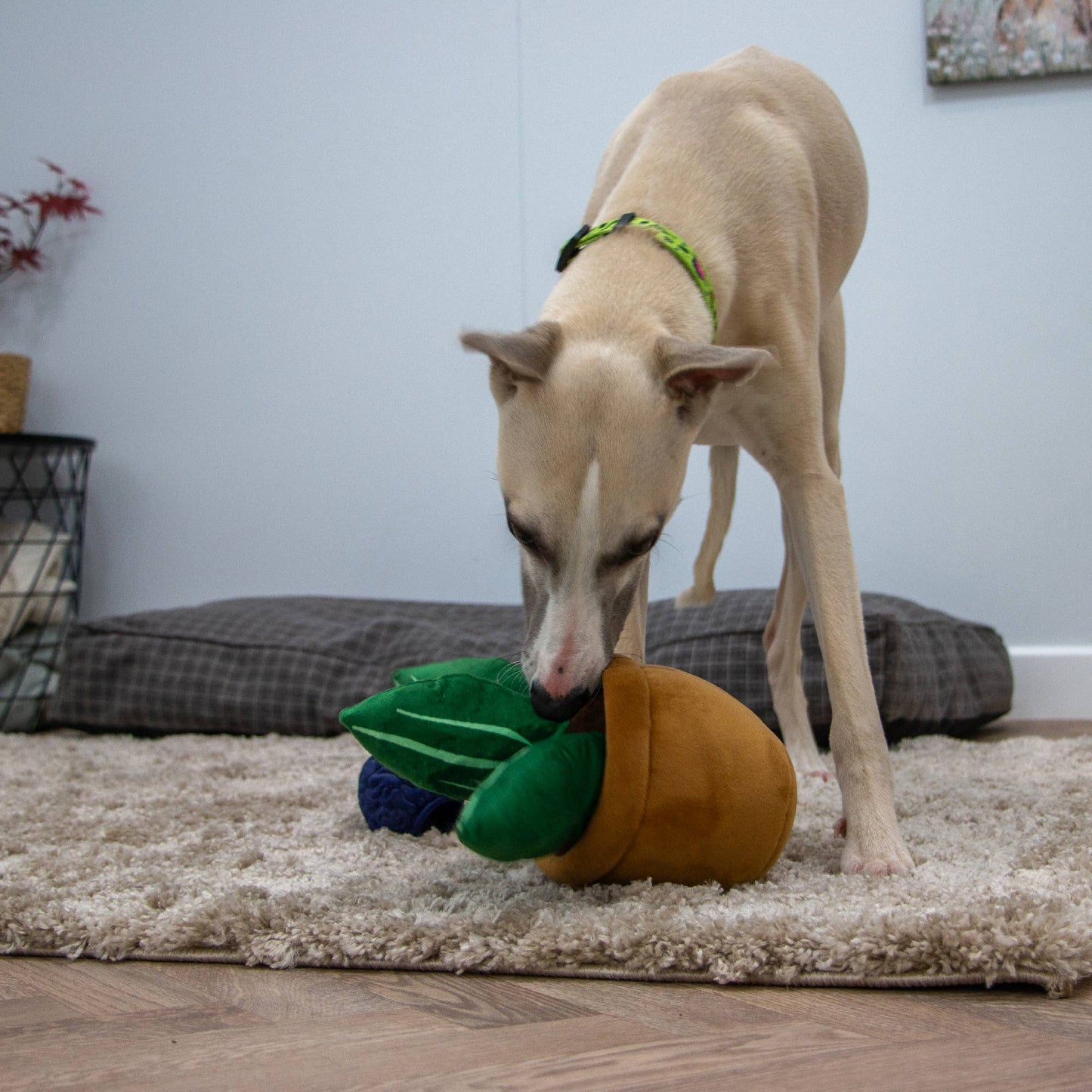 Plush Cuddle Cactus
