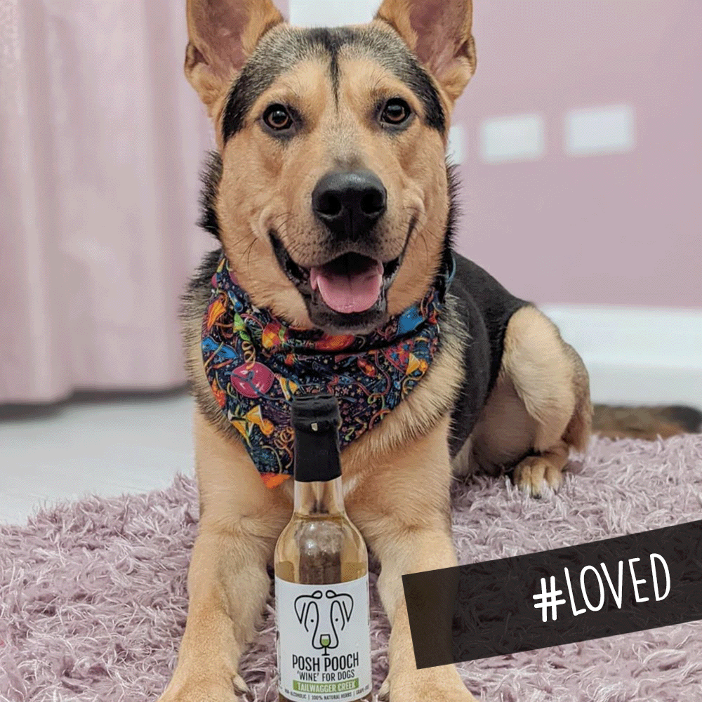 Woof&Brew Posh Pooch Dog 'Wine' Gift Treat - 330ml
