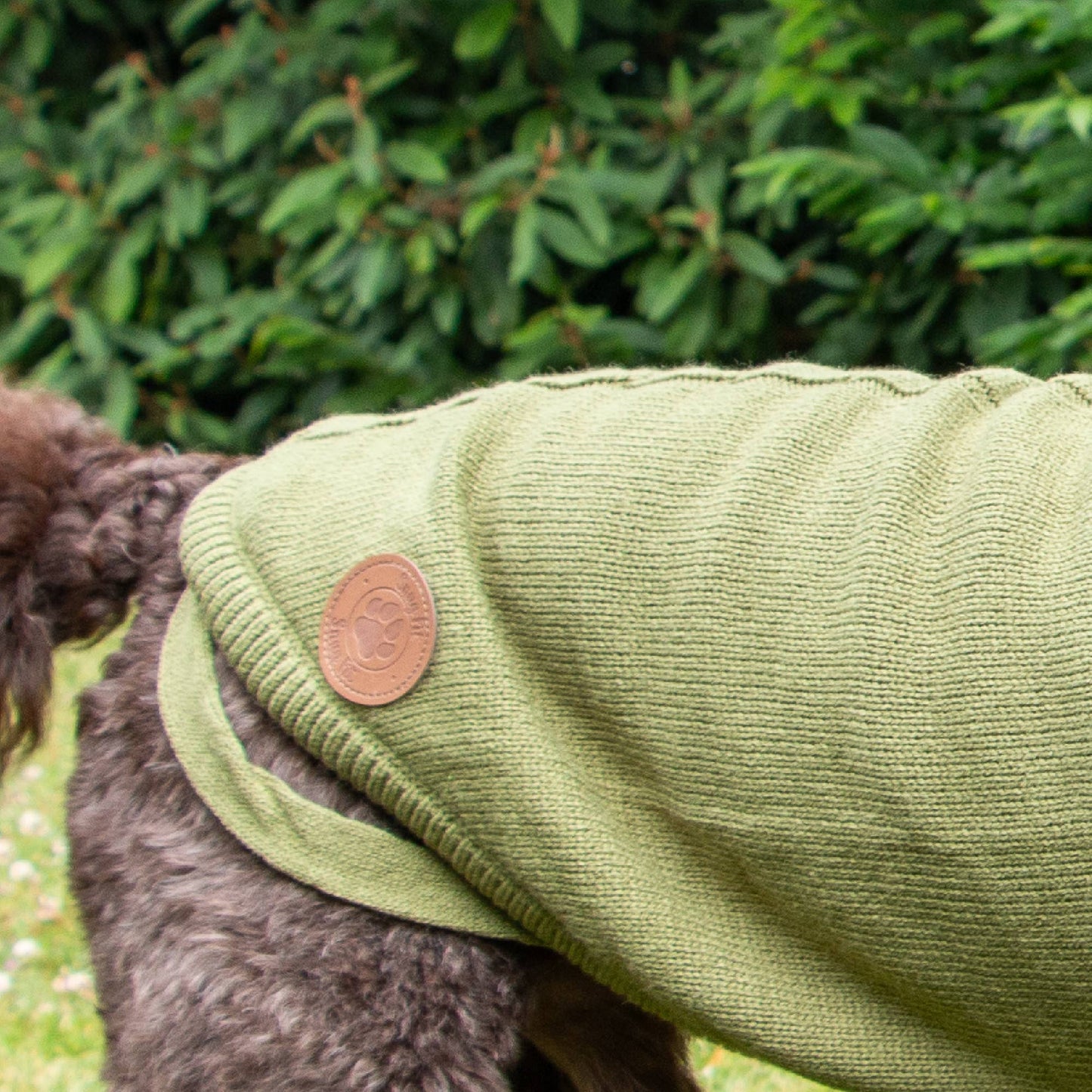 Snug Cable Knit Jumper GREEN