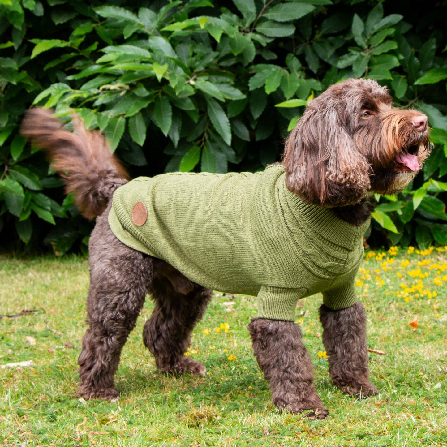 Snug Cable Knit Jumper GREEN