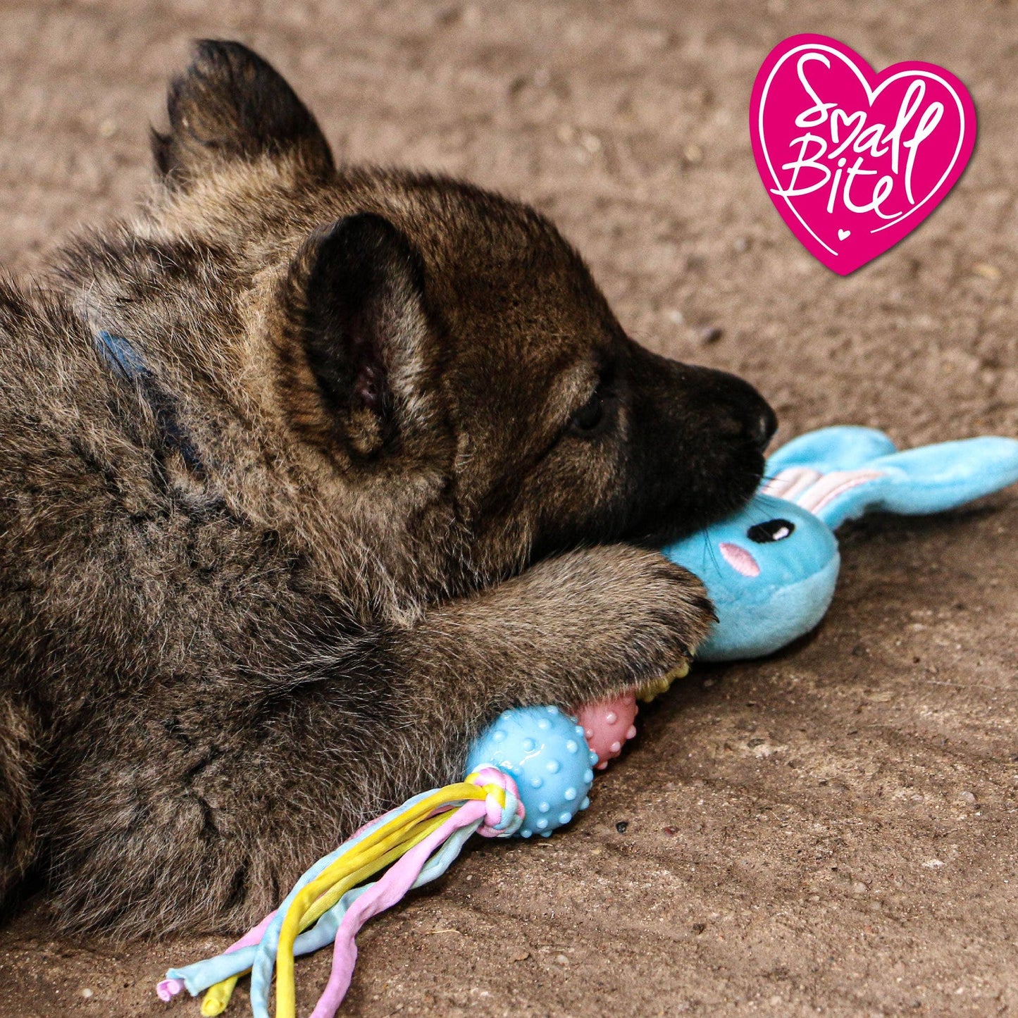 Small Bite Puppy Teether Bear/Bunny/Heart
