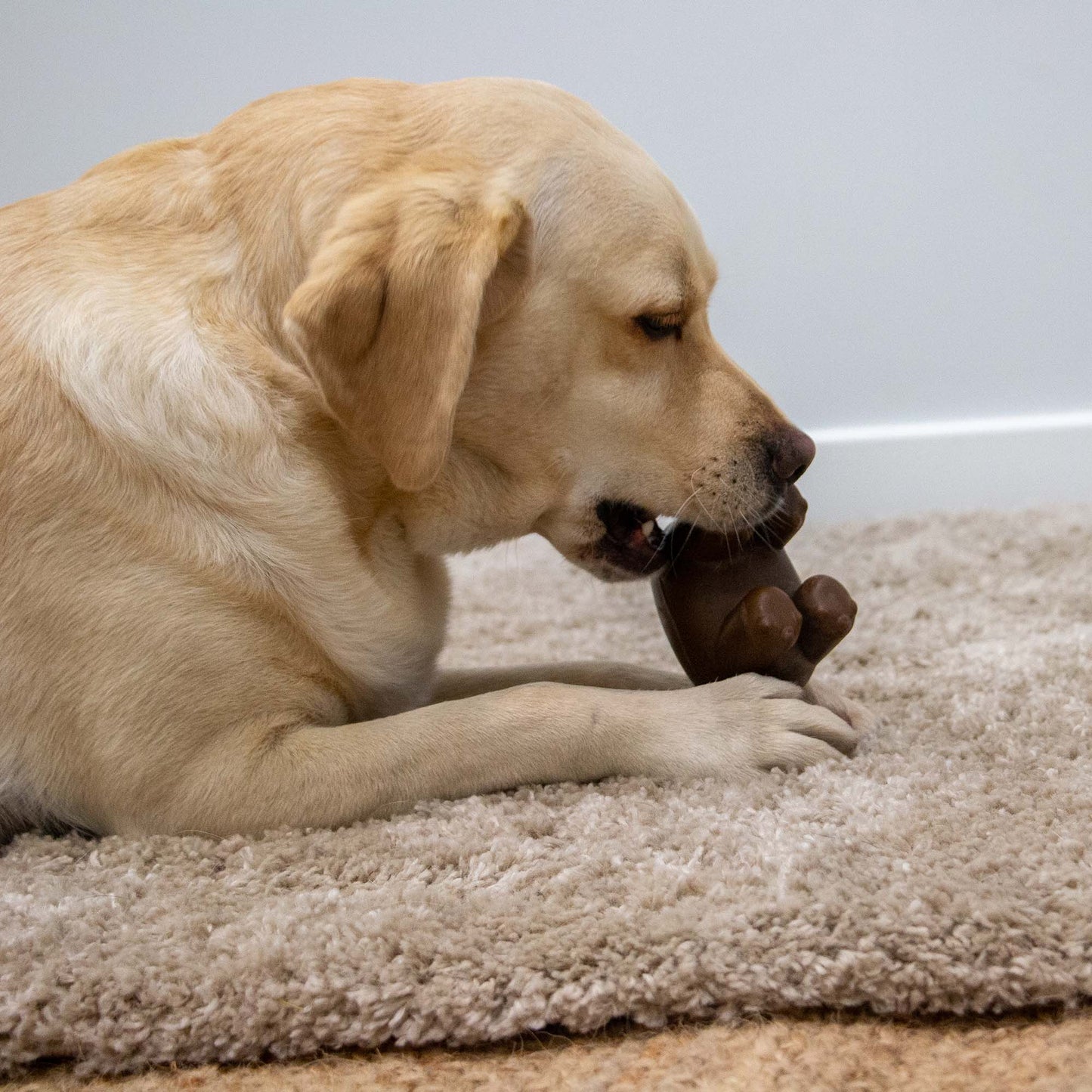 Dog Toy Tough Natural Rubber & Recycled Coffee Grounds Hippo
