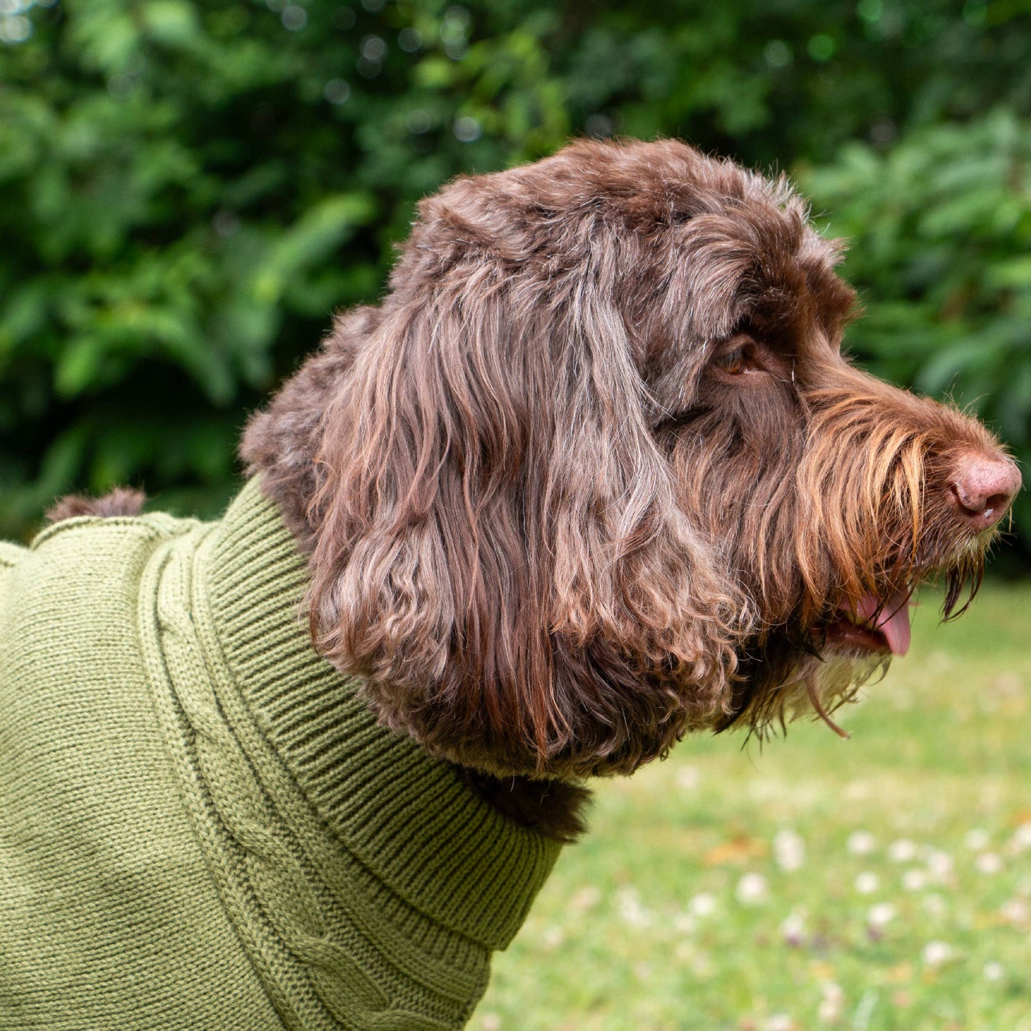 Snug Cable Knit Jumper GREEN